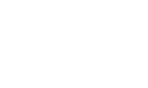 VB Logo-03
