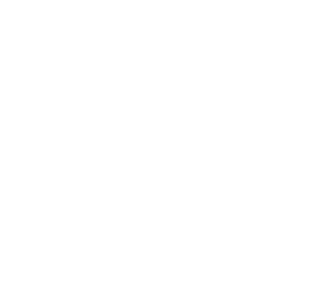 VB Logo-04