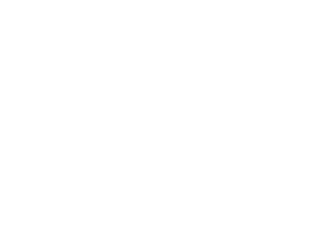 VB Logo-07