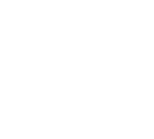 VB Logo-08