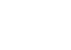 VB Logo-11
